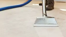 Carpet cleaning wand head gliding over a light carpet during hot-water extraction, Boston, MA.