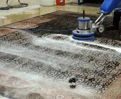 Professional rug cleaning with a rotary floor machine and shampoo foam, deep-cleaning an area rug, in Boston, MA.