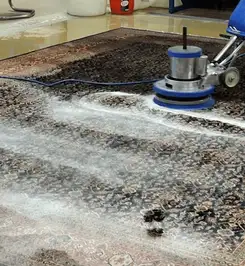 Professional rug cleaning with a rotary floor machine and shampoo foam, deep-cleaning an area rug Boston, MA.